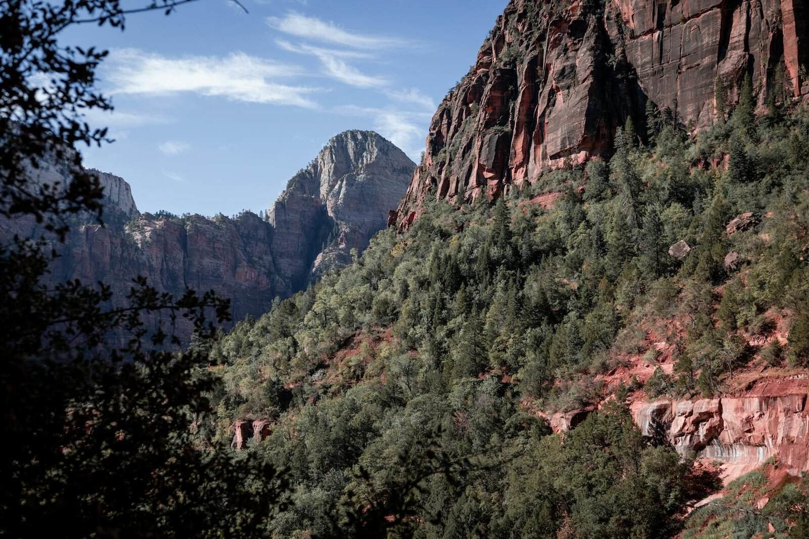 Breathtaking Zion Canyon landscape with vibrant red rocks and lush greenery under a clear blue sky